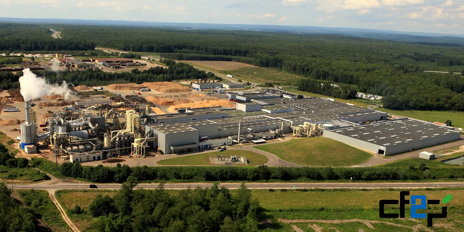 CF2P ha assistito realtà nel settore del legno